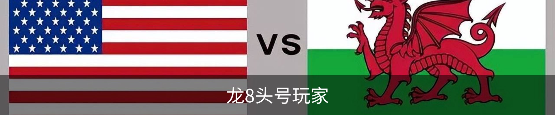 龙8头号玩家